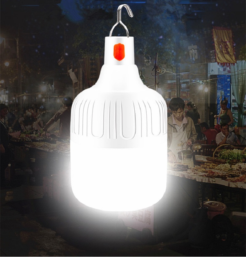 Camping Lantern LED Lamp Bulbs - Power Outage Light のレビューと価格