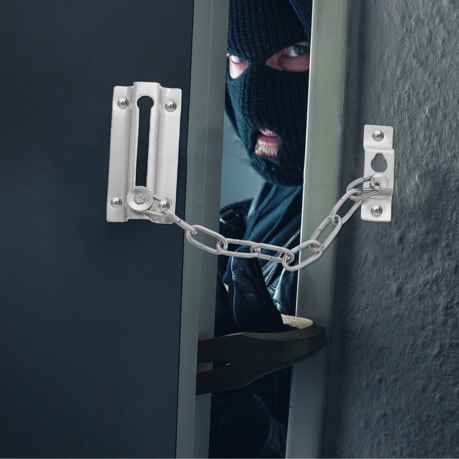 Heavy Duty Stainless Steel Ant - Security Chain Door のレビューと価格
