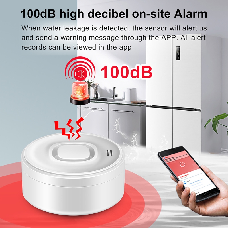 Smart WIFI Water Leak Detector - Water Alarm Sensor のレビューと価格