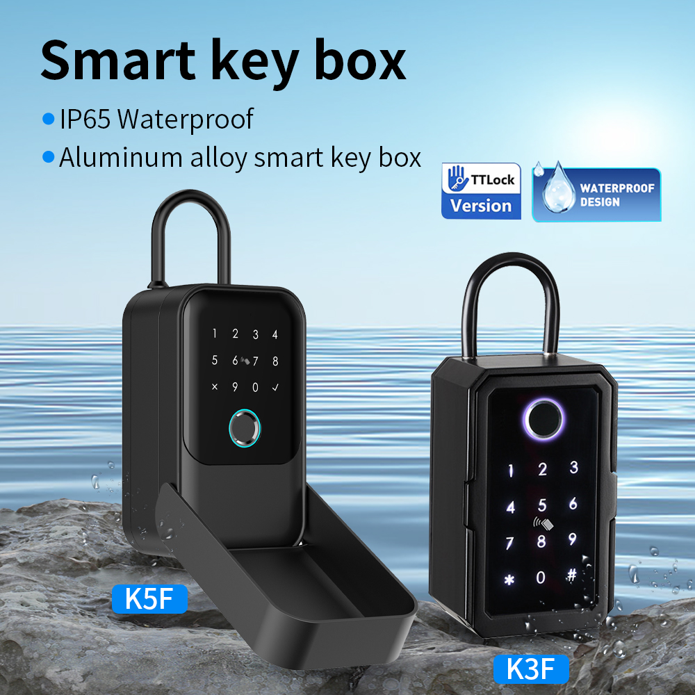 Tuya Smart Life App or TTLock  - Lockbox Key Secure のレビューと価格