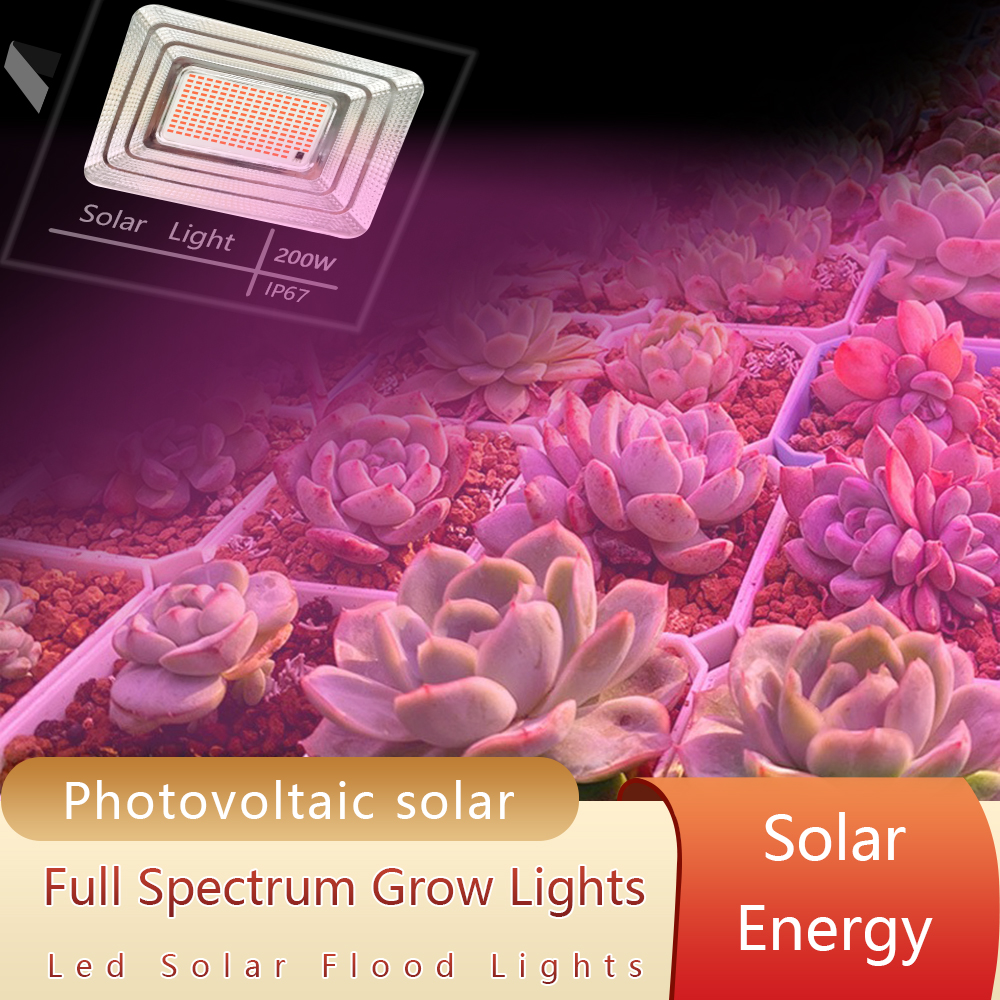 LED Full Spectrum Phyto Lamp 2 - Power Outage Light のレビューと価格